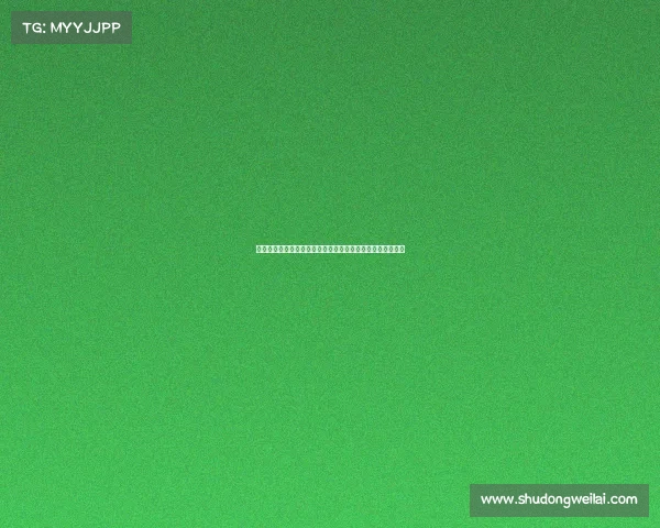 第十四届全国运动会女排赛事录像精彩集锦重温赛场激情瞬间